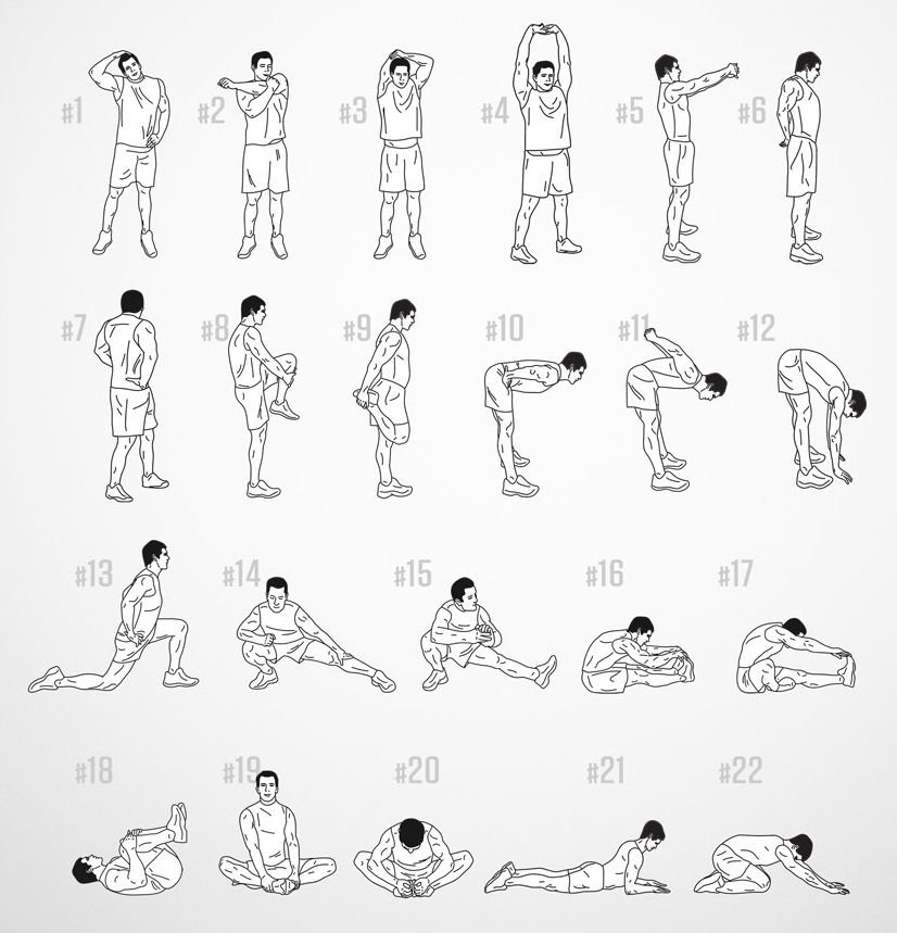 Best Warm-Up Exercises Before a Workout